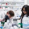 Temple Katz researchers